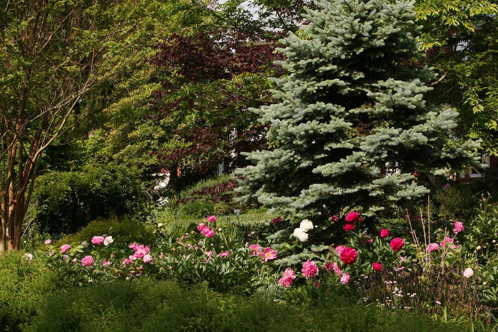 South Court Bed & Breakfast 3*